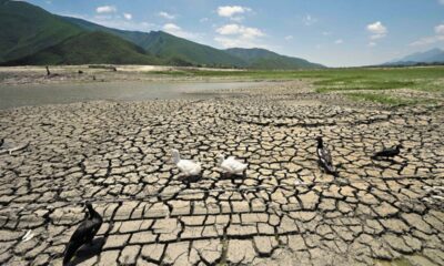 Presas en sequía extrema en Nuevo León